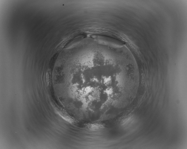 X0000084030165200702161444