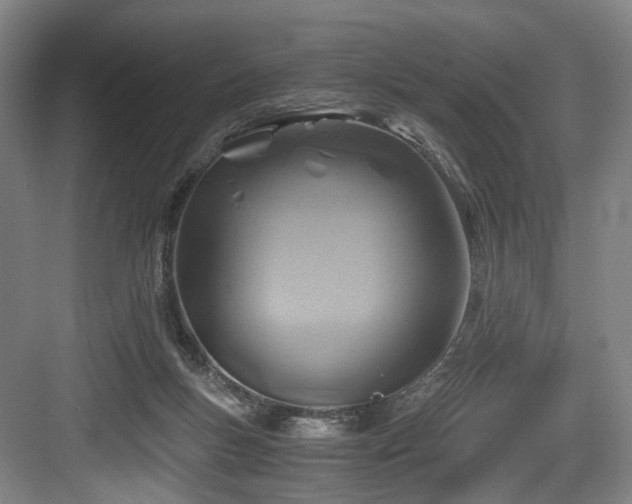 X0000084030167200702161444