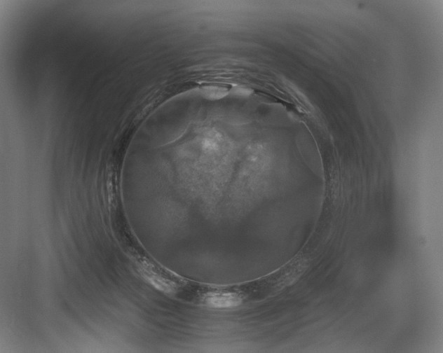 X0000084030169200702161444