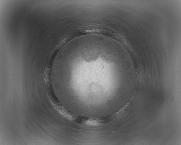 X0000084030171200702161444