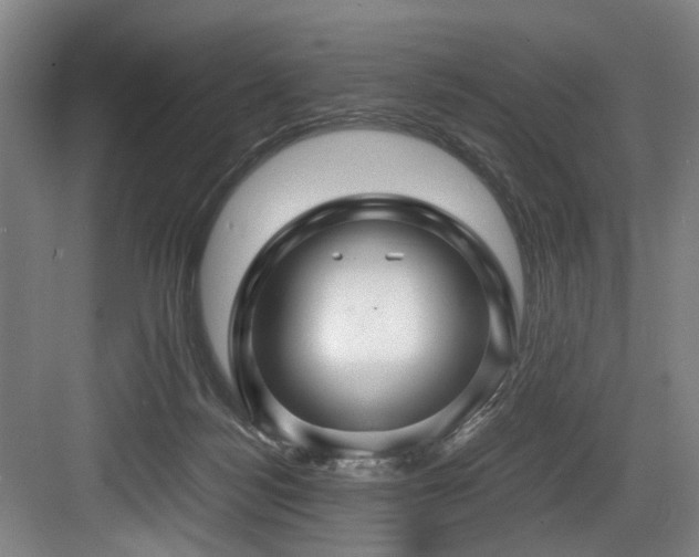 X0000084030172200702161444