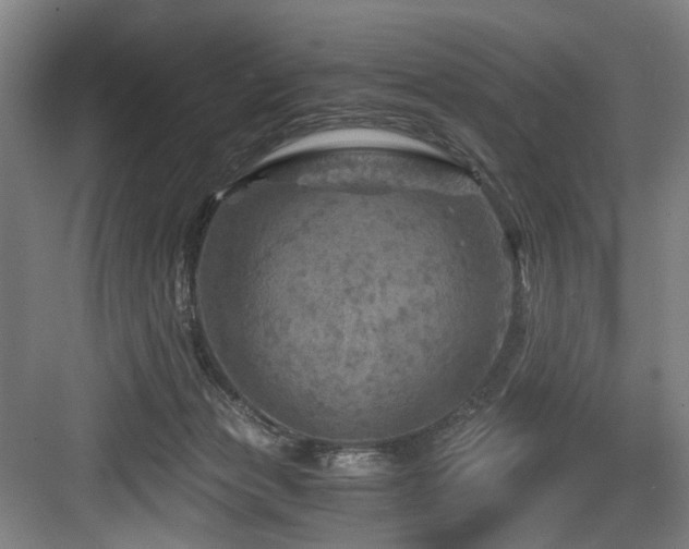 X0000084030173200702161444