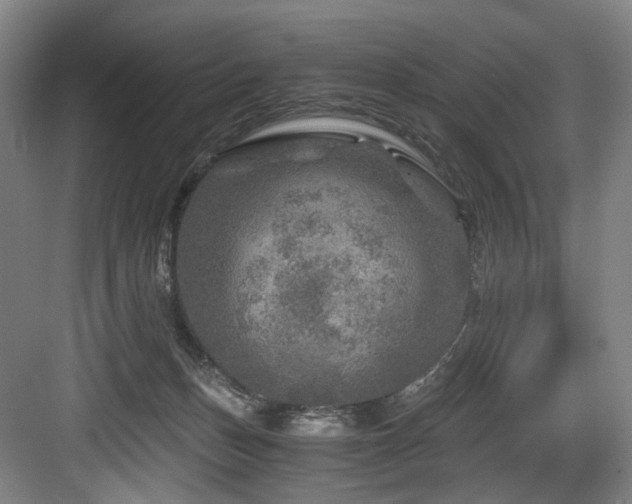 X0000084030175200702161444