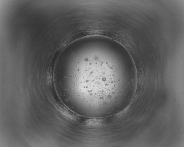 X0000084030179200702161444