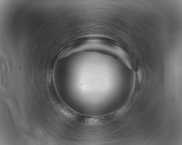 X0000084030180200702161444