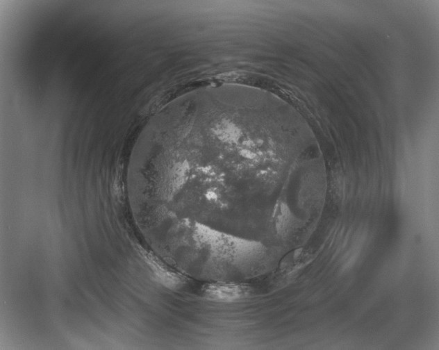 X0000084030181200702161444