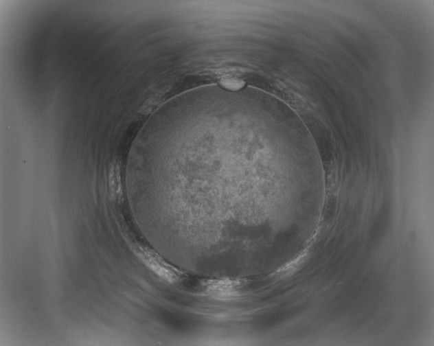 X0000084030182200702161444