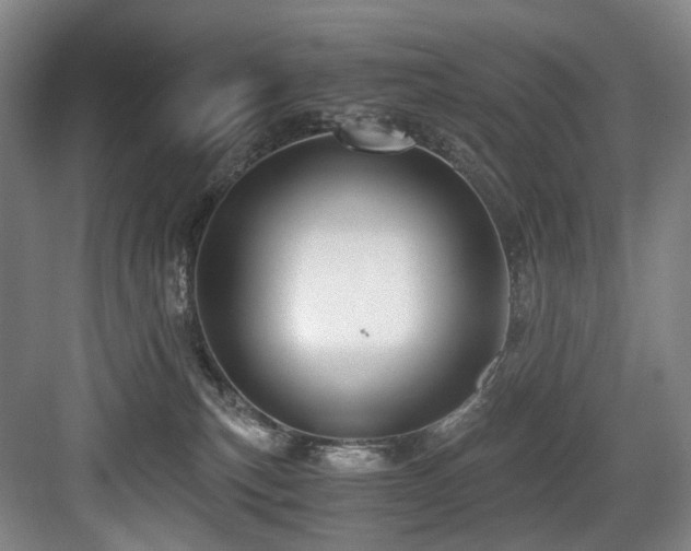 X0000084030183200702161444