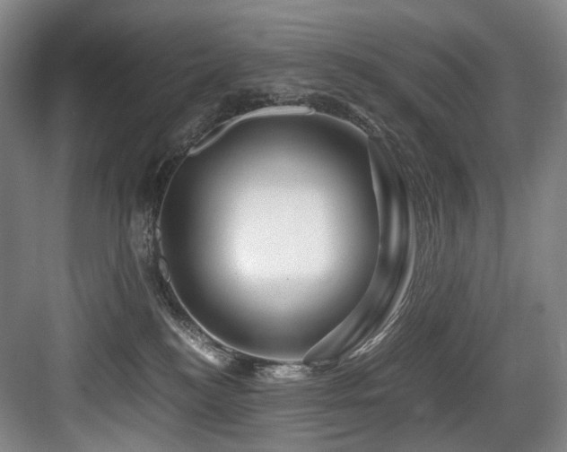 X0000084030184200702161444