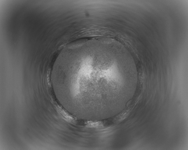 X0000084030185200702161444