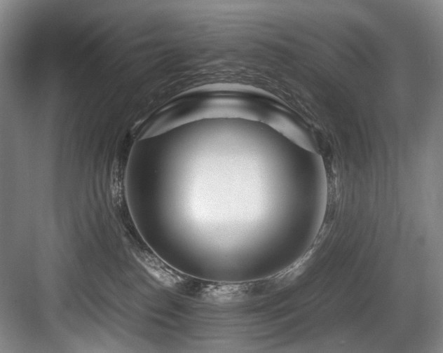 X0000084030186200702161444