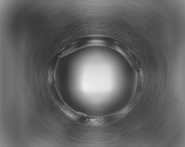 X0000084030188200702161444