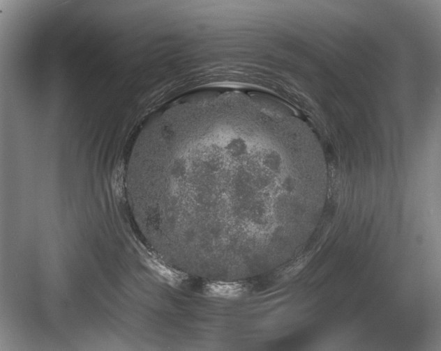 X0000084030189200702161444