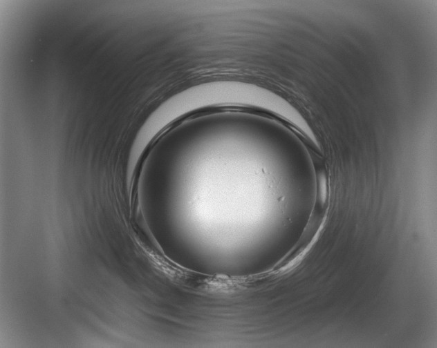 X0000084030190200702161444