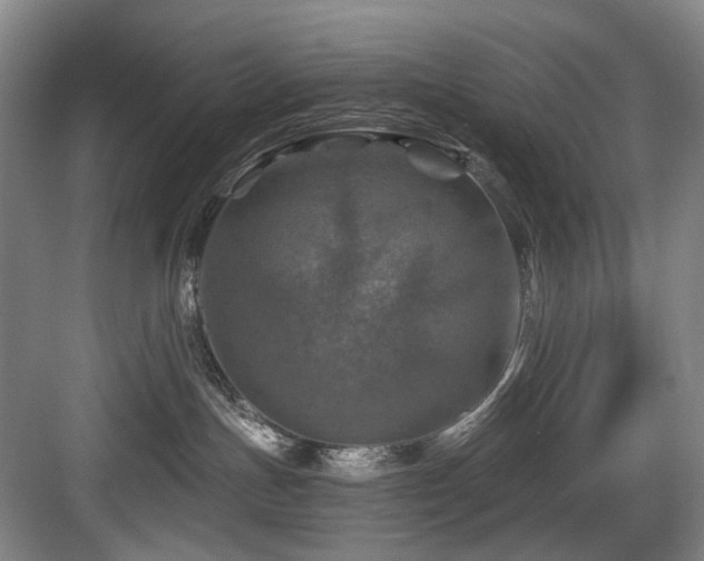 X0000084030191200702161444