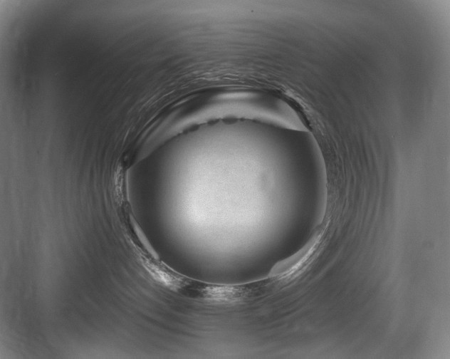 X0000084030192200702161444