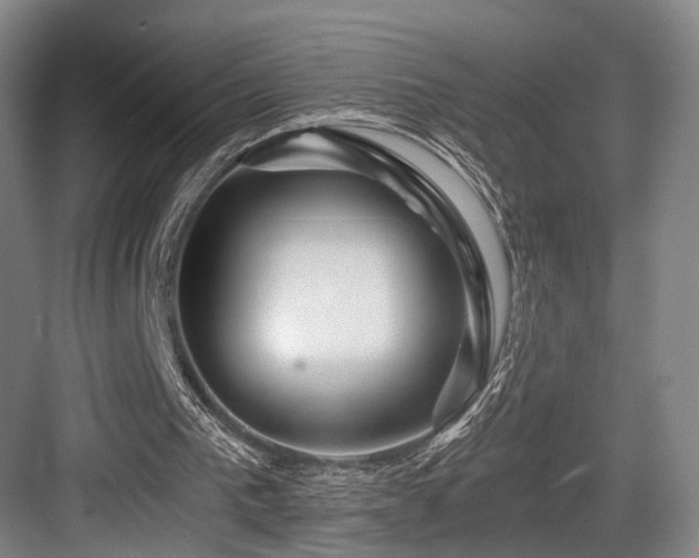 X0000084030193200702161443