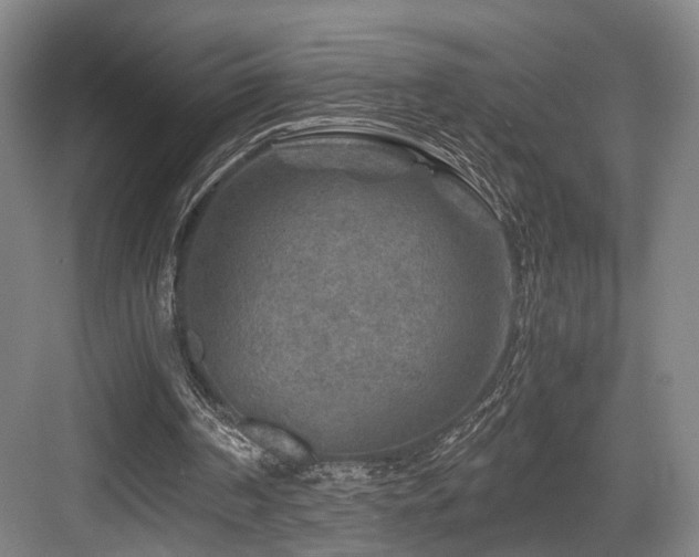 X0000084030194200702161443