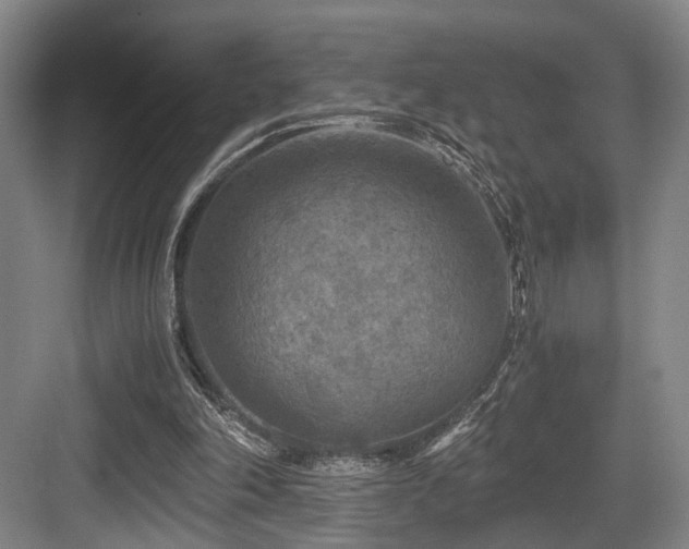 X0000084030198200702161443