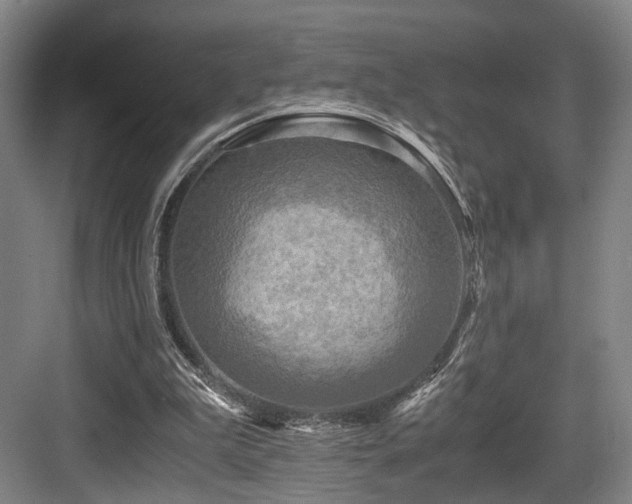 X0000084030199200702161443