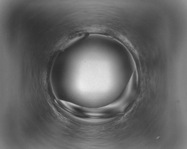 X0000084030201200702161443