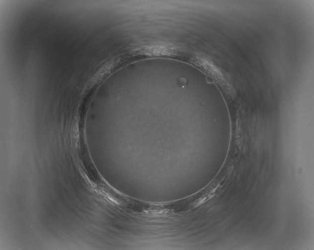 X0000084030202200702161443