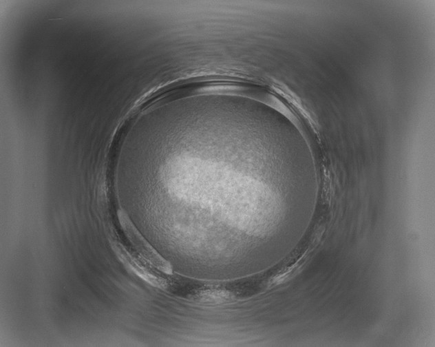 X0000084030203200702161443