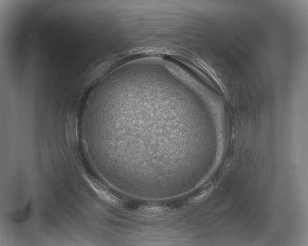 X0000084030205200702161443