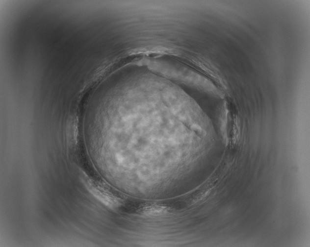 X0000084030206200702161443