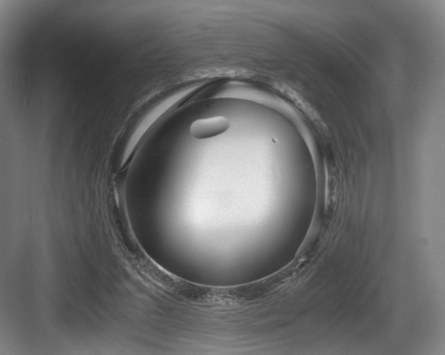 X0000084030207200702161443