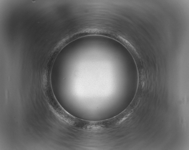 X0000084030208200702161443