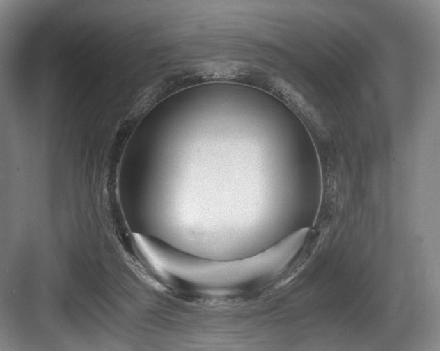 X0000084030209200702161443