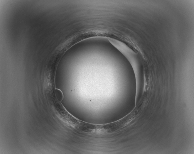 X0000084030212200702161443