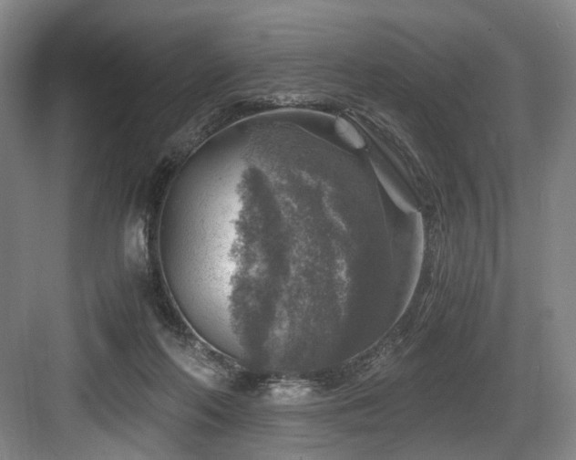 X0000084030214200702161443