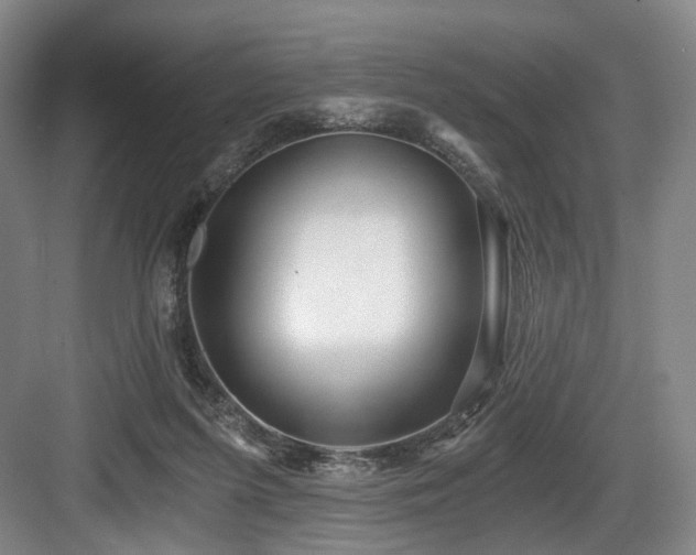 X0000084030215200702161443