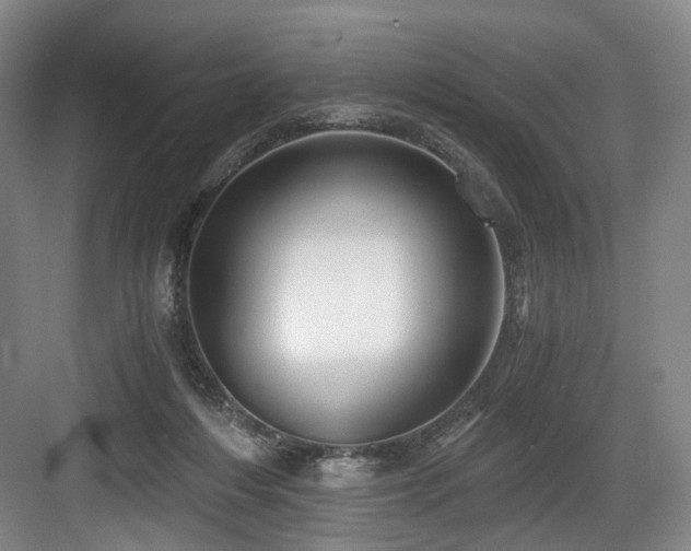 X0000084030216200702161443