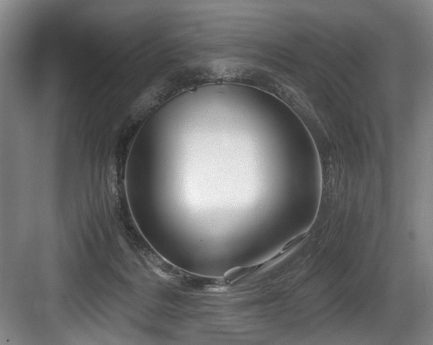 X0000084030220200702161443