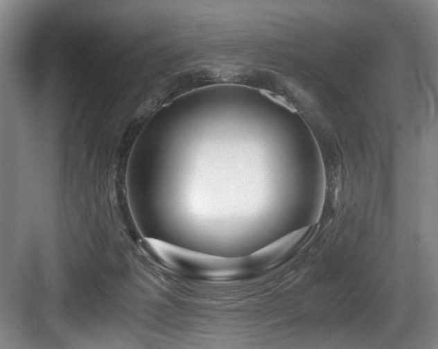 X0000084030221200702161443