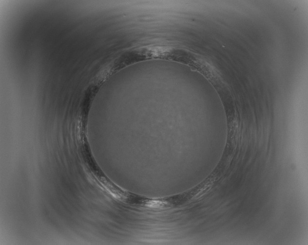 X0000084030222200702161443