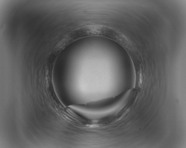 X0000084030223200702161443