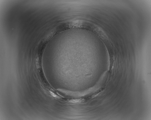 X0000084030224200702161443