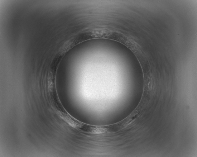 X0000084030226200702161443