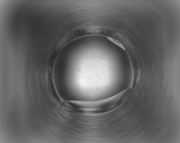 X0000084030229200702161443