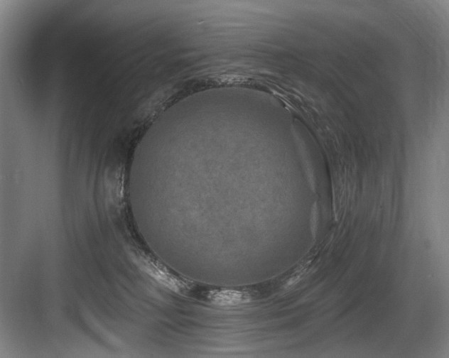 X0000084030230200702161443