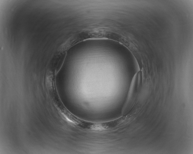 X0000084030231200702161443