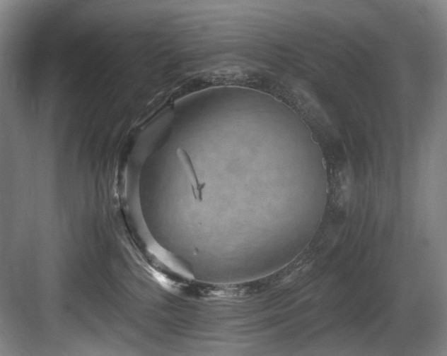 X0000084030232200702161443