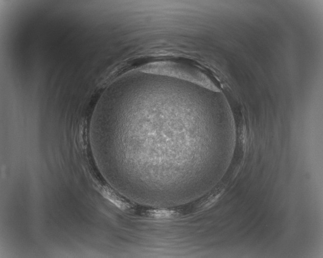 X0000084030233200702161443