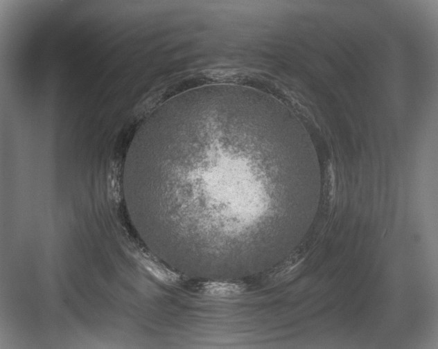 X0000084030234200702161443