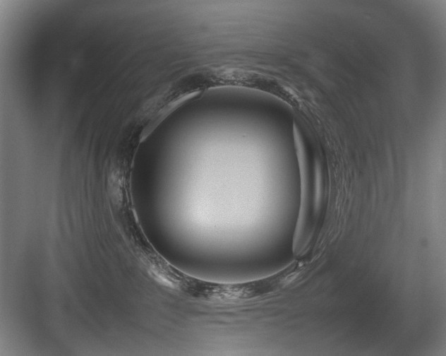 X0000084030235200702161443