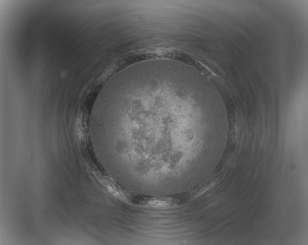 X0000084030236200702161443